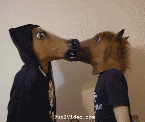Animated-horse-funny-fight.gif