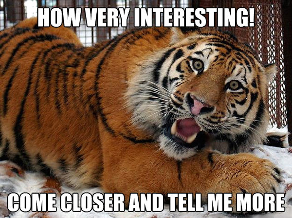 How-very-interesting-come-closer-and-tell-me-more-tiger-1-.jpg