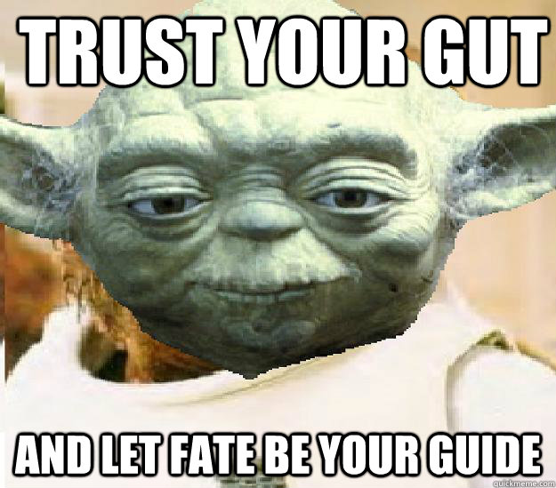 Image result for trust your gut meme
