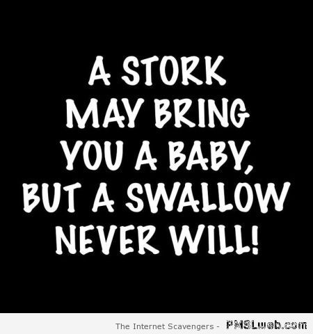 1-a-stork-may-bring-you-a-baby-funny-quote.jpg